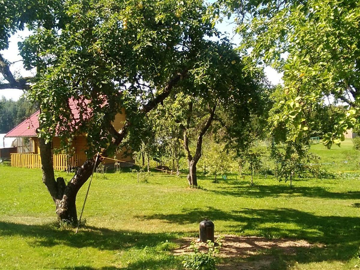 Ceslovos Sodyba Zarasai Exterior foto