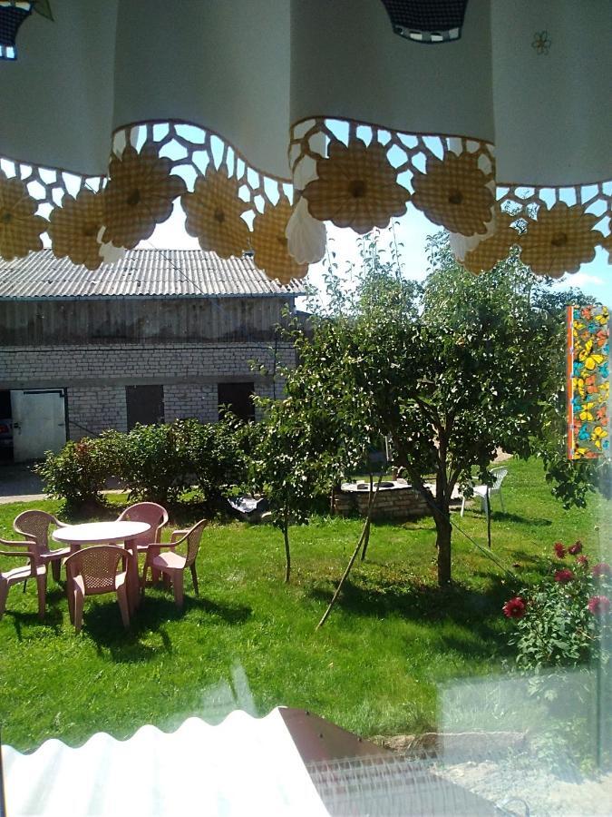 Ceslovos Sodyba Zarasai Exterior foto